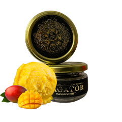 Тютюн Bagator mango sorbet (Манго Сорбет, 50 г)