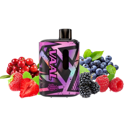 VAAL E5000 Mixed berries (Ягодный микс) Одноразовый POD