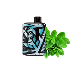 VAAL E5000 Mint (М'ята) Одноразовий POD VAAL E5000 Mint (М'ята) Одноразовий POD