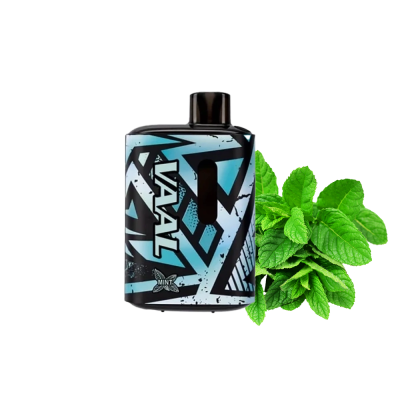 VAAL E5000 Mint (Мята) Одноразовый POD