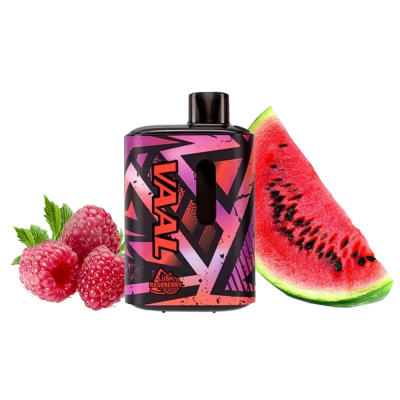 VAAL E5000 Lush raspberry (Арбуз Малина) Одноразовый POD