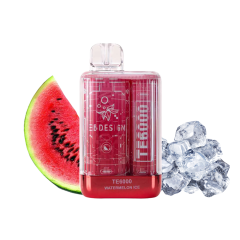Elf Bar TE6000 Watermelon ice (Кавун Лід) Одноразовий POD