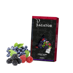 Кальянна чайна суміш Bagator Hookah Tea Forest Berry (Лісова ягода, 50 г) Кальянна чайна суміш Bagator Hookah Tea Forest Berry (Лісова ягода, 50 г)