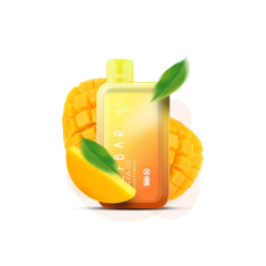 Elf Bar Raya D1 13000 Double Mango (Дабл Манго) Одноразовый POD Elf Bar Raya D1 13000 Double Mango (Дабл Манго) Одноразовый POD