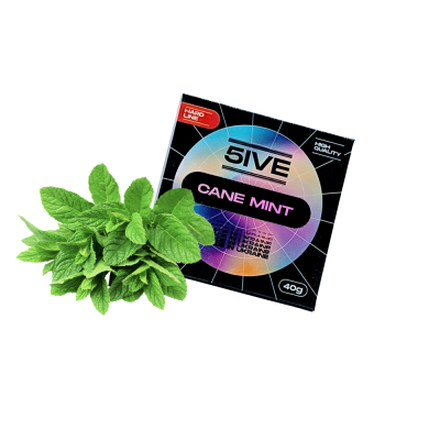 Табак 5ive hard line Cane mint (Тростниковая мята, 40 г)