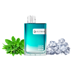 Elf Bar CR8000 Sea Breeze Mint (Сі Бриз Мінт) Одноразовий POD