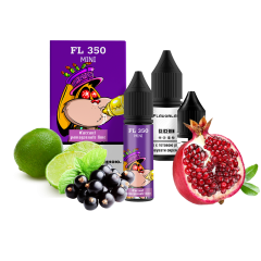 Набір для самозамішування Flavorlab FL350 mini Currant pomegranate lime (Смородина Гранат Лайм, 50 мг, 15 мл) Набір для самозамішування Flavorlab FL350 mini Currant pomegranate lime (Смородина Гранат Лайм, 50 мг, 15 мл)