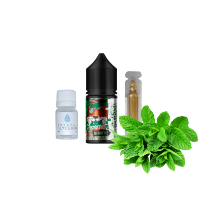 Набор для самозамеса In Bottle Salt Spearmint (Мята, 50 мг, 30 мл)