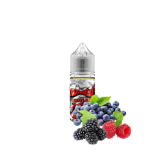 Рідина Twisted salt Berryland (Берріленд, 25 мг, 30 мл) Рідина Twisted salt Berryland (Берріленд, 25 мг, 30 мл)