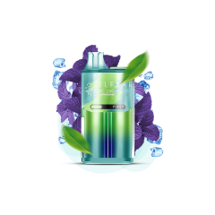 Elf Bar BC20000 Peppermint (Перечная Мята) Одноразовый POD Elf Bar BC20000 Peppermint (Перечная Мята) Одноразовый POD