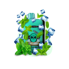 Elf Bar GH 23000 Polar Mint (Лід М'ята) Одноразовий POD Elf Bar GH 23000 Polar Mint (Лід М'ята) Одноразовий POD