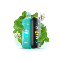 Elf Bar Raya D3 25000 Alpine Mint (Альпійська М'ята) Одноразовий POD Elf Bar Raya D3 25000 Alpine Mint (Альпійська М'ята) Одноразовий POD