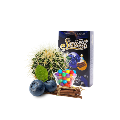 Табак Serbetli Blueberry Cinnamon Bubble Cactus (Черника Корица Жвачка Кактус, 50 г) Табак Serbetli Blueberry Cinnamon Bubble Cactus (Черника Корица Жвачка Кактус, 50 г)