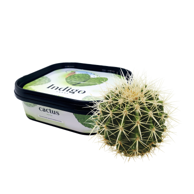 Кальянная чайная смесь Indigo Smoke Cactus (Кактус, 100 г)