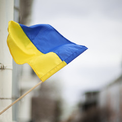 [ЗАВЕРШЕНО] Знижка на увесь асортимент -10% на честь Дня Незалежності!