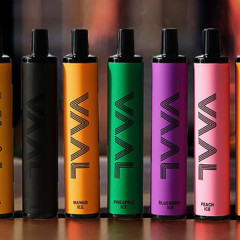 Про лінійки електронок виробника VAAL