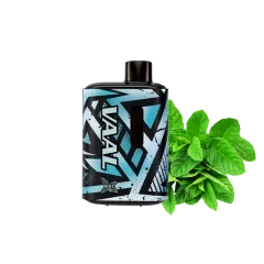 VAAL E5000 Mint (Мята) Одноразовый POD