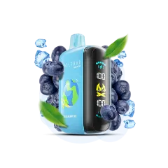 Elf Bar Raya D3 25000 Blueberry Ice (Черника Лёд) Одноразовый POD
