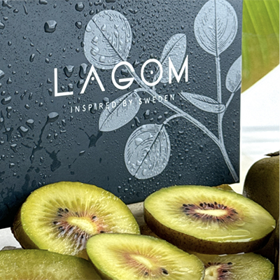 табак для кальяна Lagom